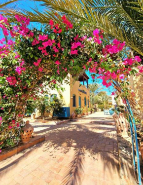 Lovely1 Bedroom Downtown ELGouna F04